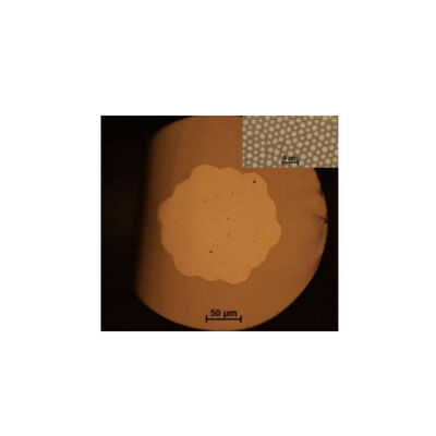 190×1250nm (UV) 300×2400nm (IR) fibre d'imagerie à fibre multi-noyau: 3000×100000 ouverture numérique (NA):>0.5